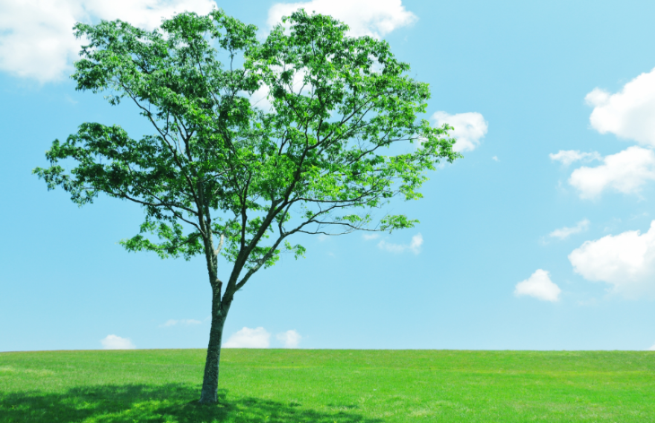 環境負担の低減