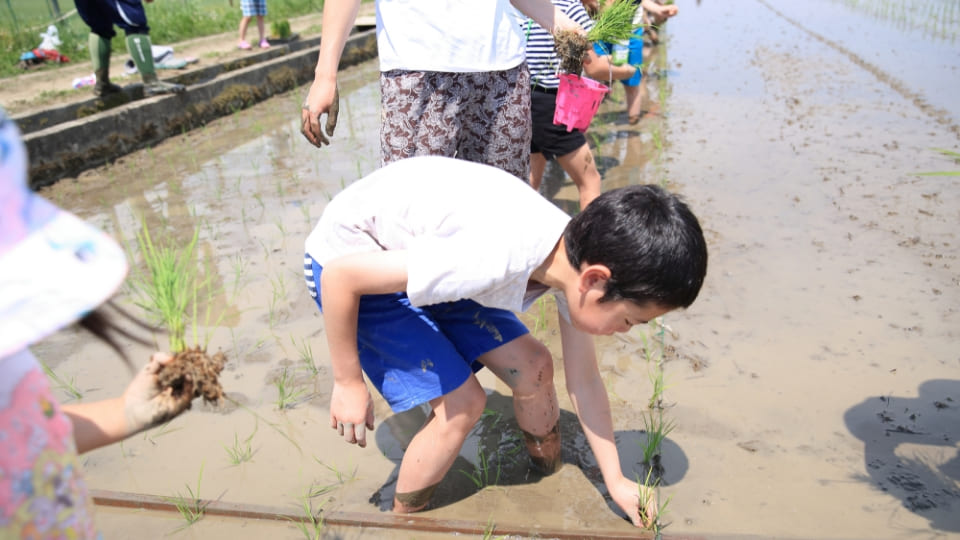 玩泥巴